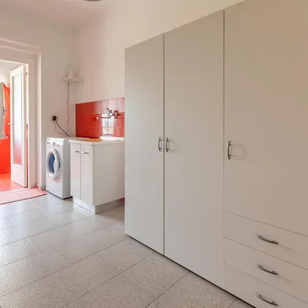 La Rosa & La Viola *