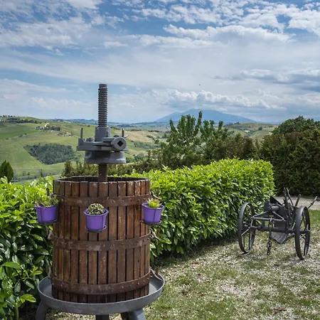 La Rosa & La Viola Willa *